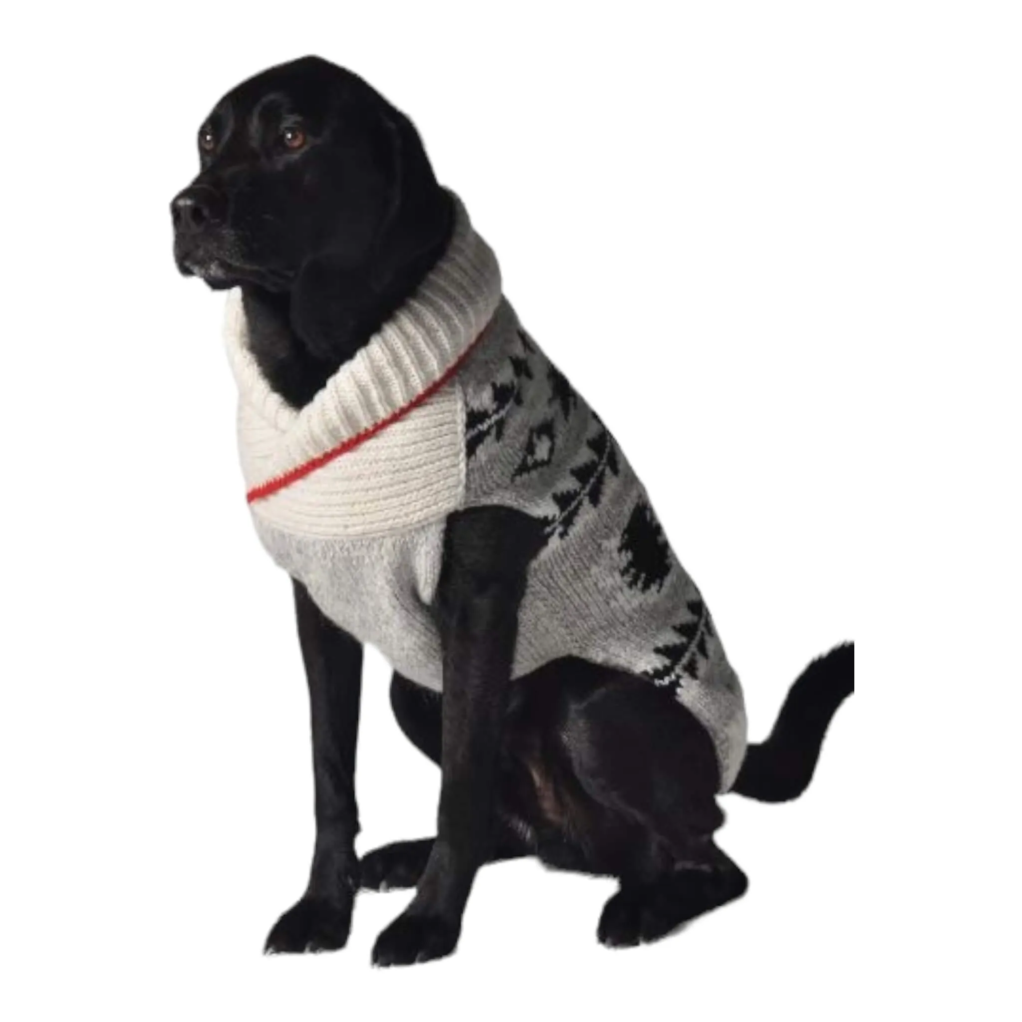 Jackson Alpaca Wool Dog Sweater