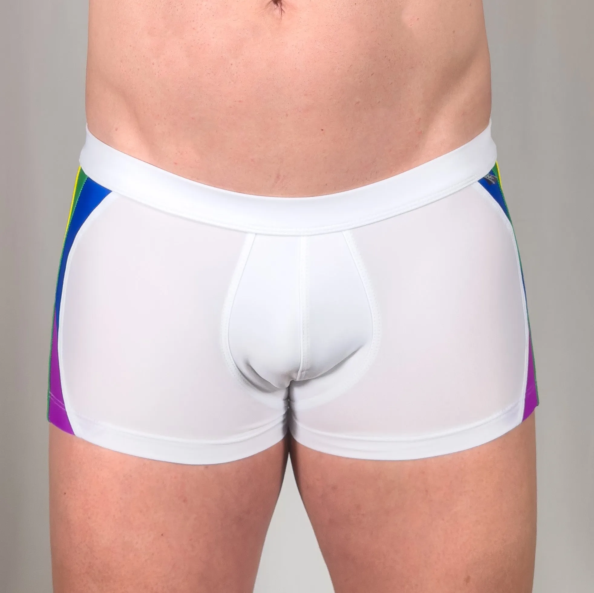 Rainbow Swim Trunk