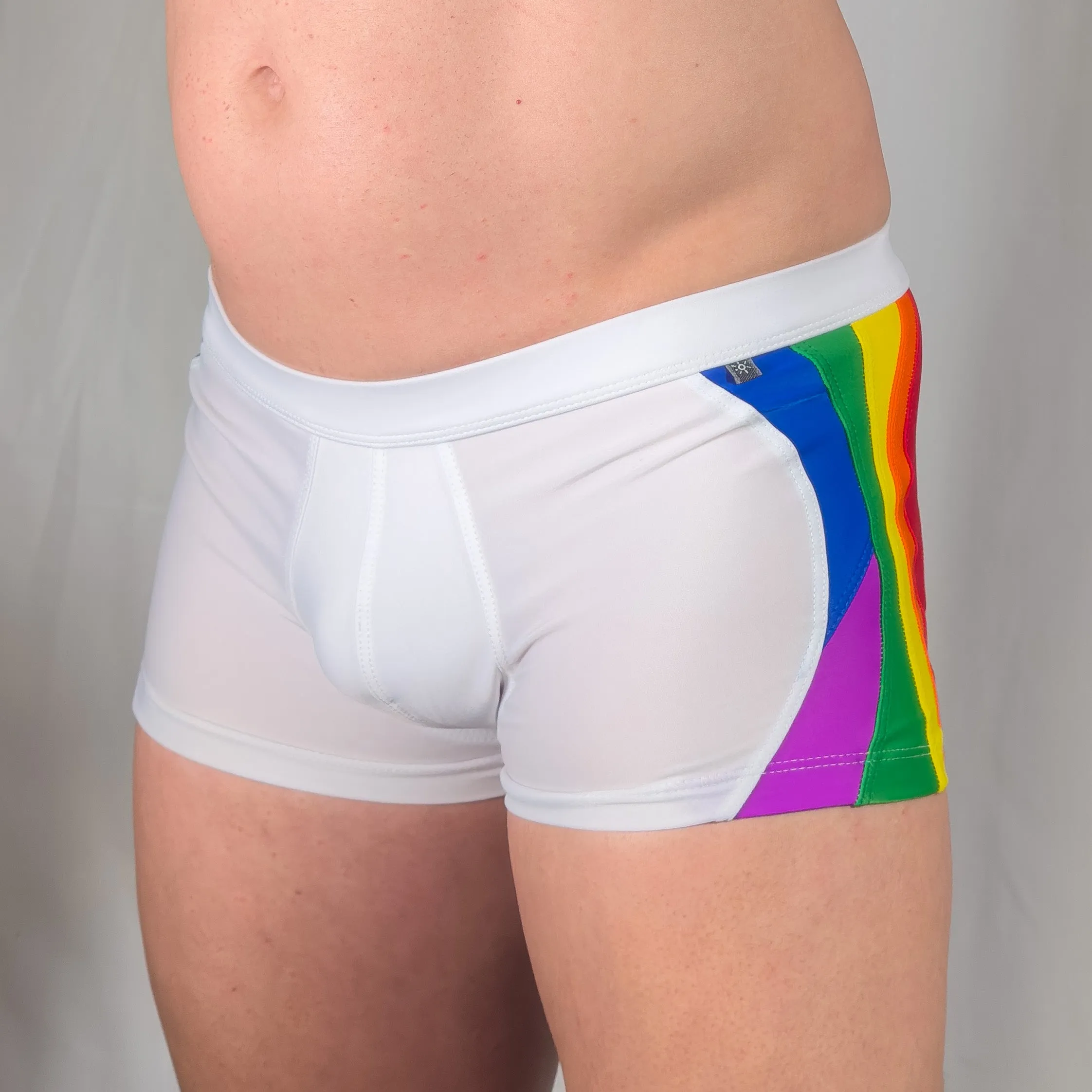 Rainbow Swim Trunk