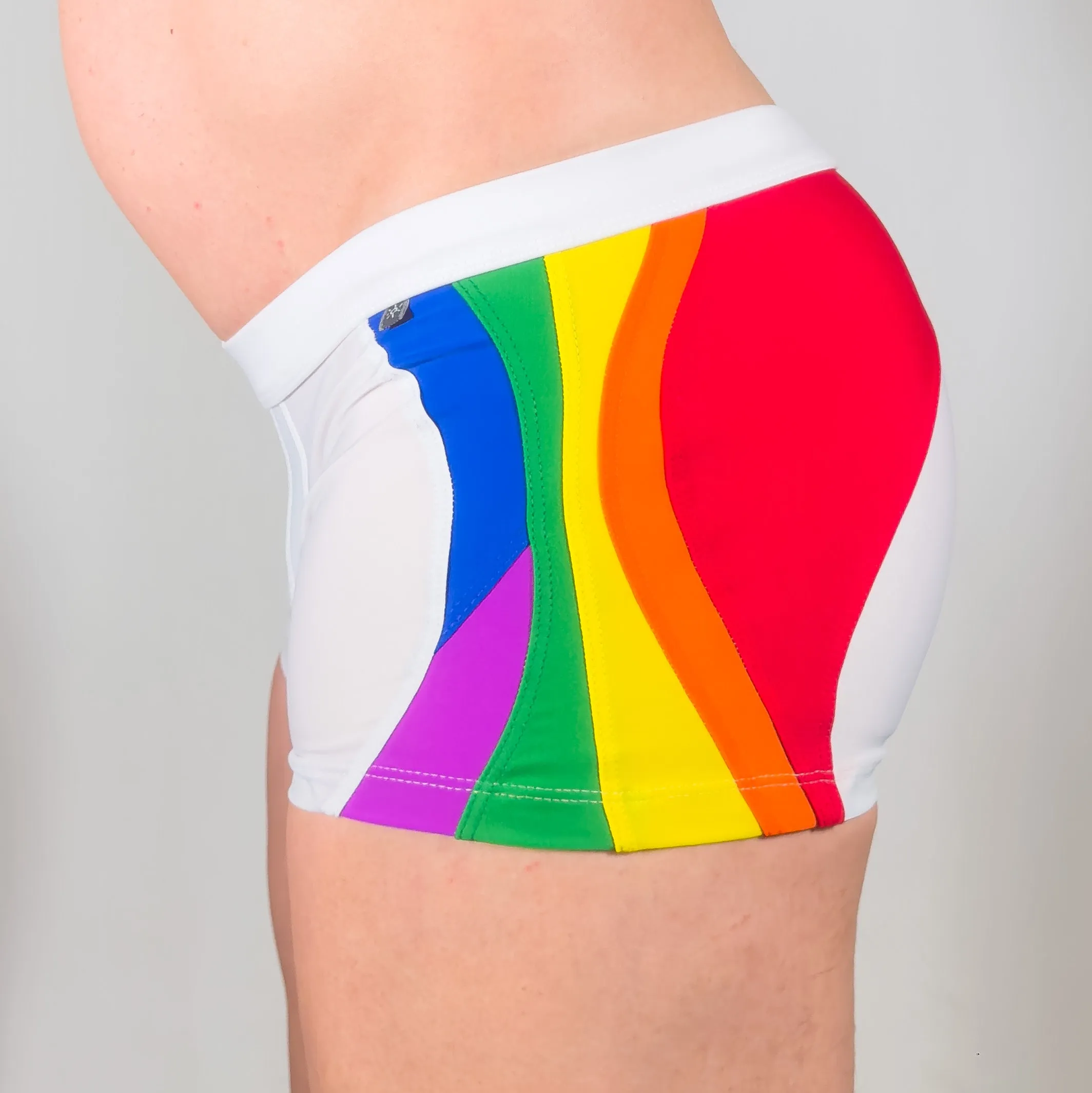 Rainbow Swim Trunk