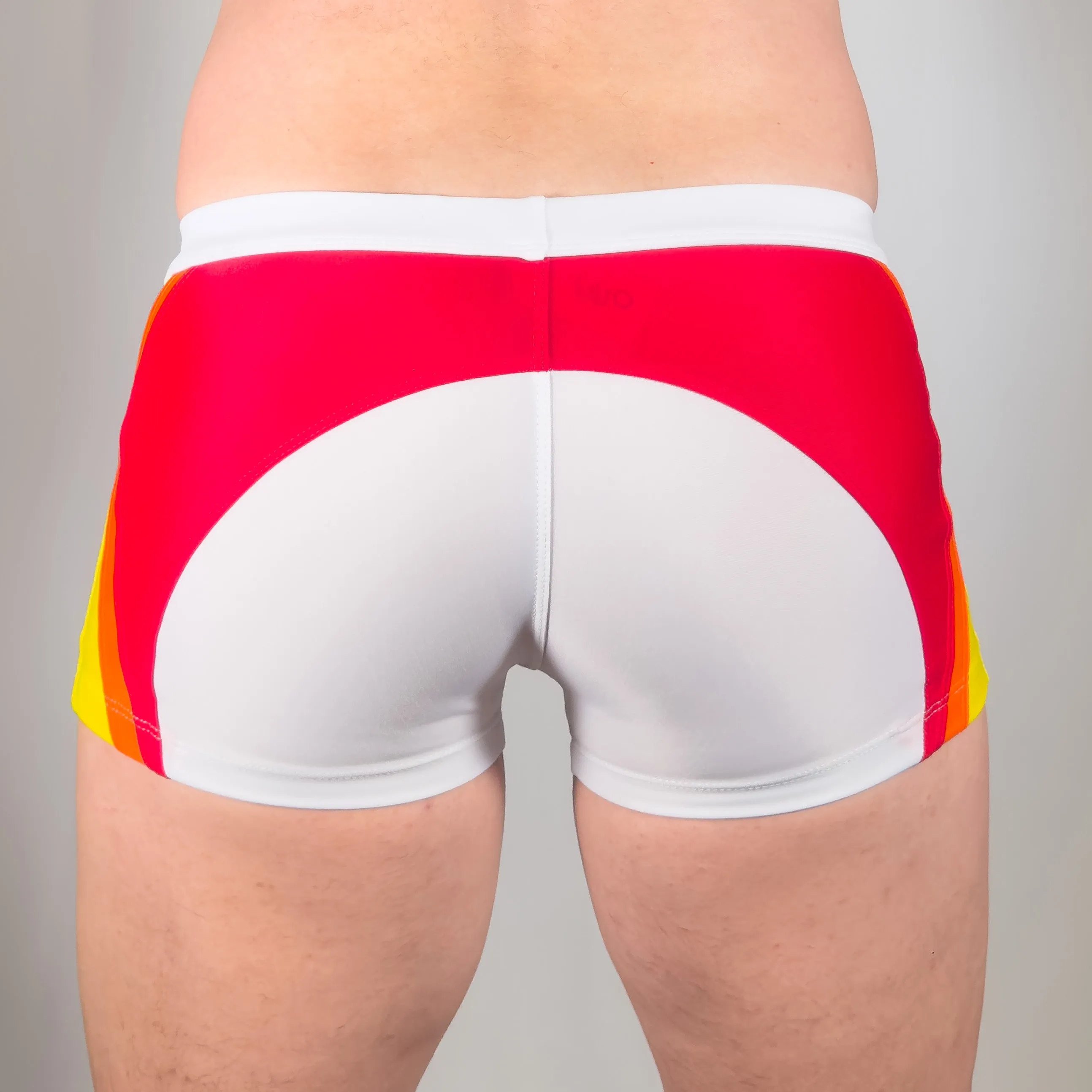 Rainbow Swim Trunk